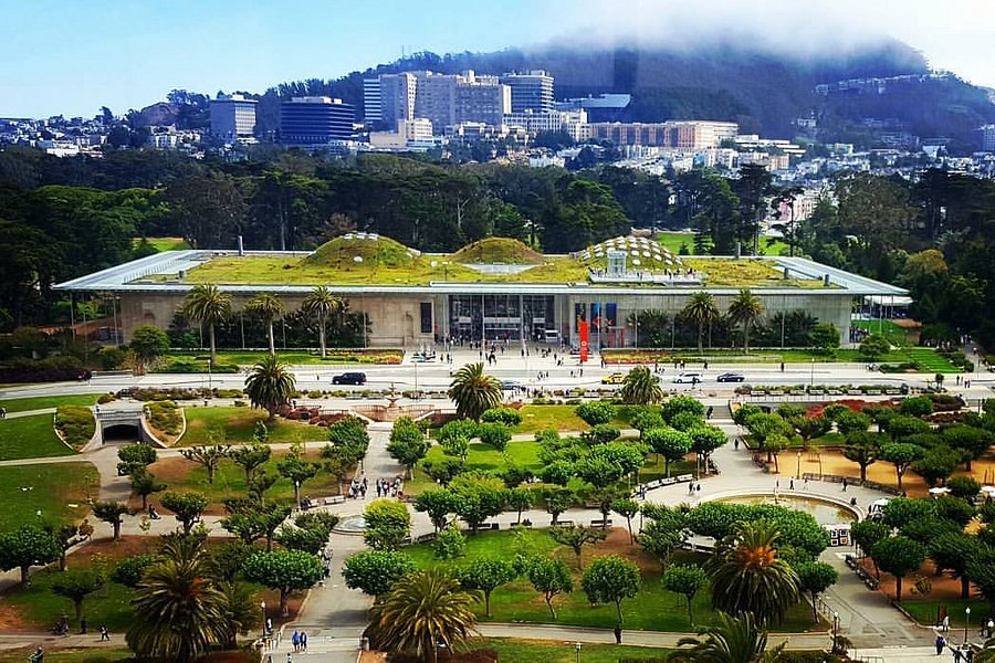 California Academy of Sciences image