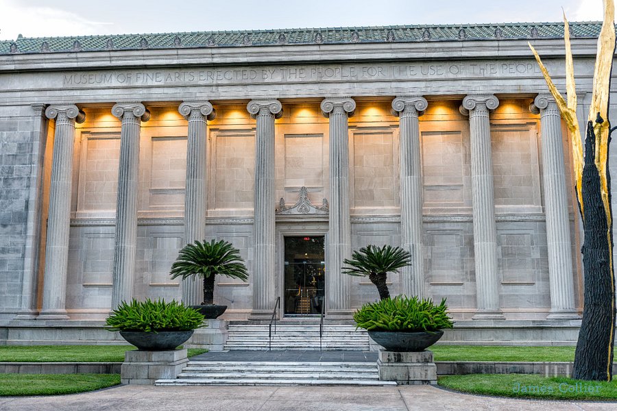 Houston Museum District image