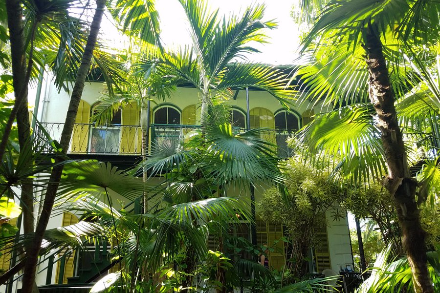 The Ernest Hemingway Home and Museum image