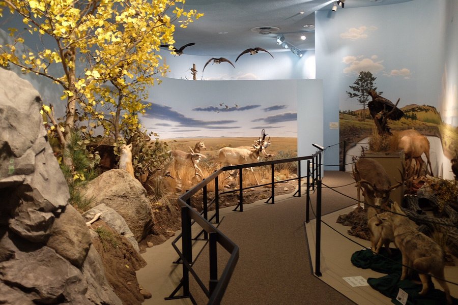 Blain County Wildlife Museum image