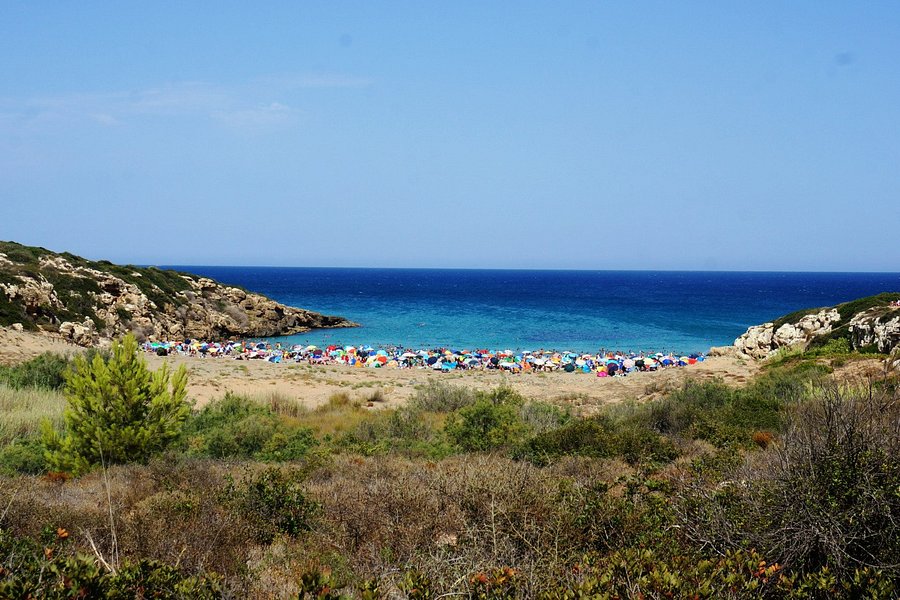 Spiaggia Calamosche image
