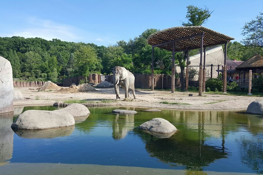 Cleveland Metroparks Zoo image