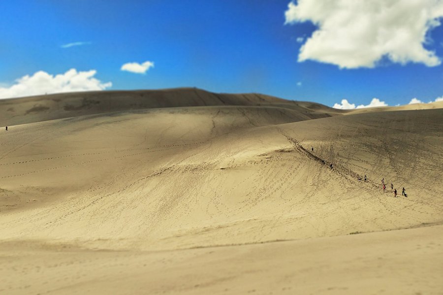 High Dune Trail image
