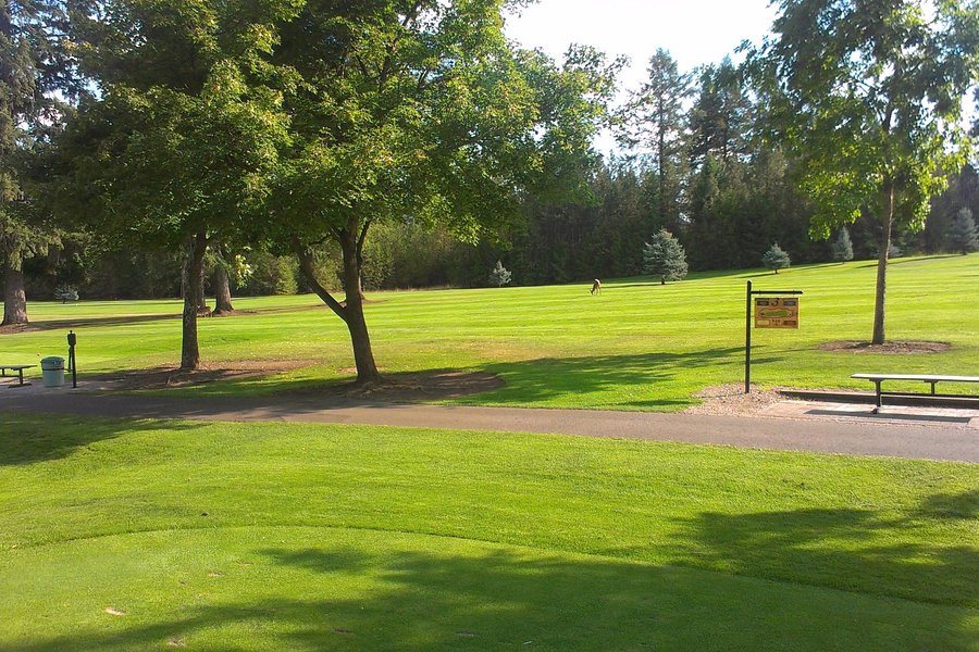 Christina Lake Golf Club image