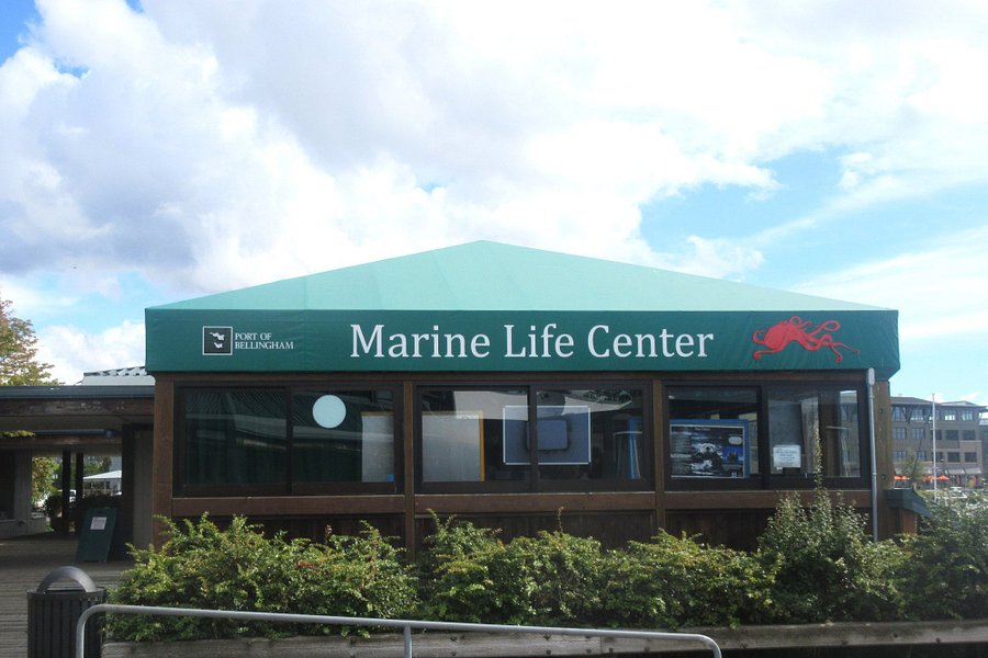 Marine Life Center image