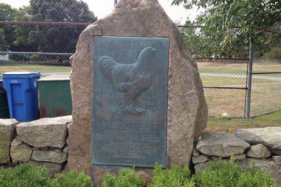 Rhode Island Red Chicken Monument image