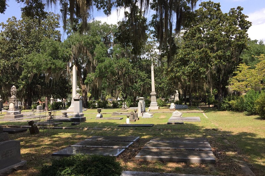 Old Live Oak Cemetery image