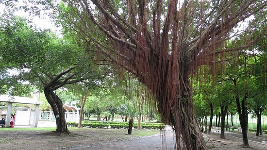 Kaohsiung Botanical Garden image