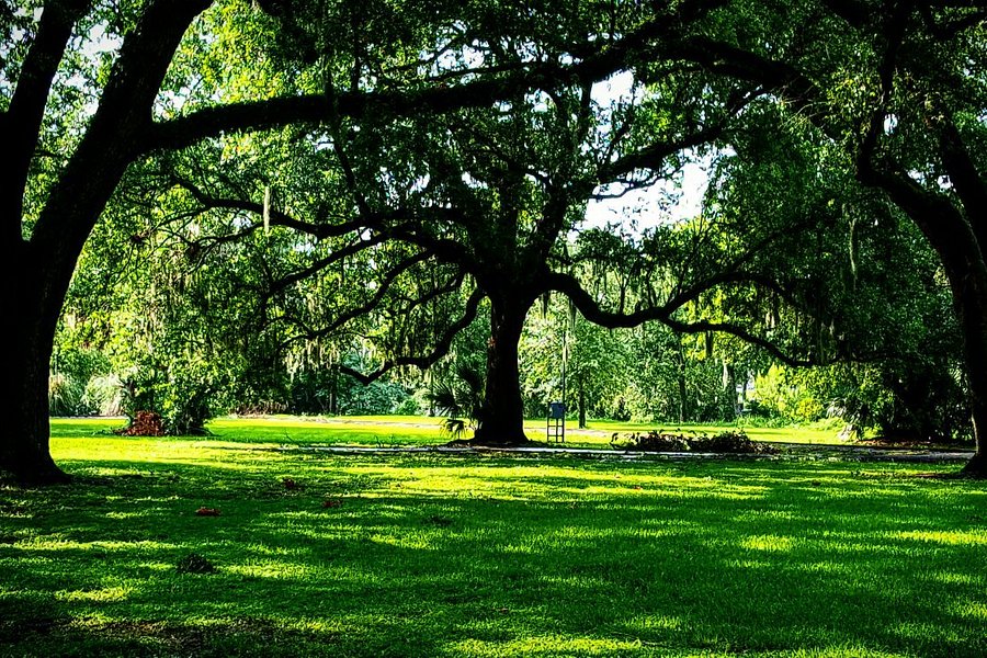 New Orleans City Park image