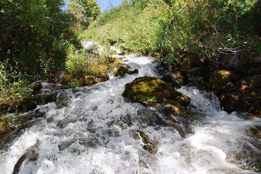 Cascade Springs image