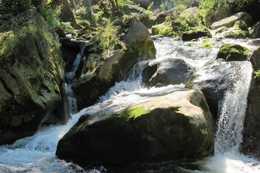 Inglis Falls image