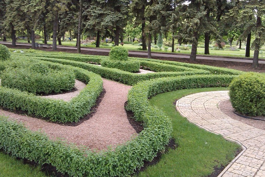 Donetsk Botanical Garden image
