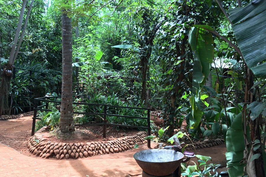 Ranweli Spice Garden image