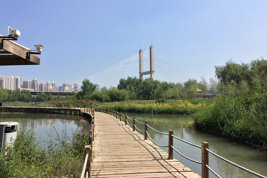 Lanzhou Yintan Wetland Park image