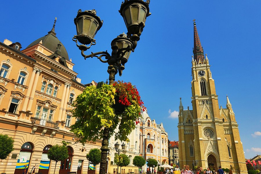 Dunavska Street image