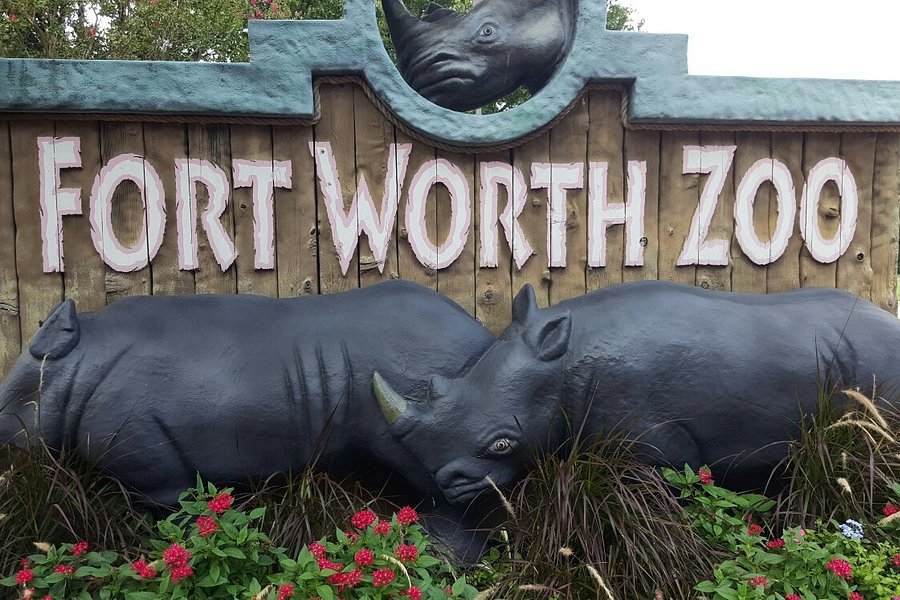 Fort Worth Zoo image
