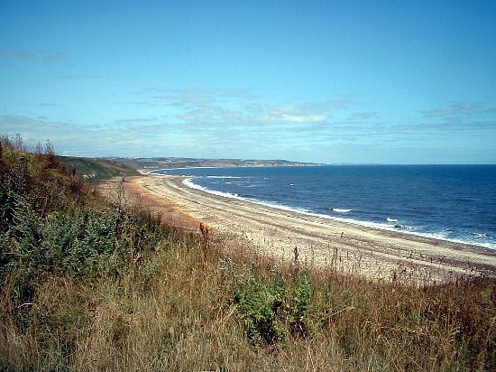 East Durham Coast image