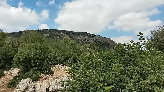 Ajloun Nature Reserve image