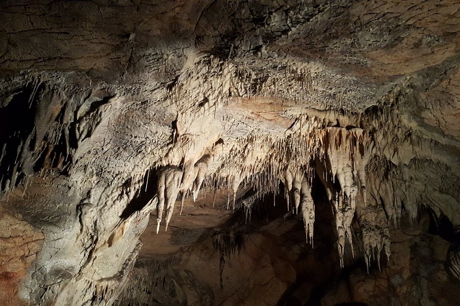 Domica Cave image