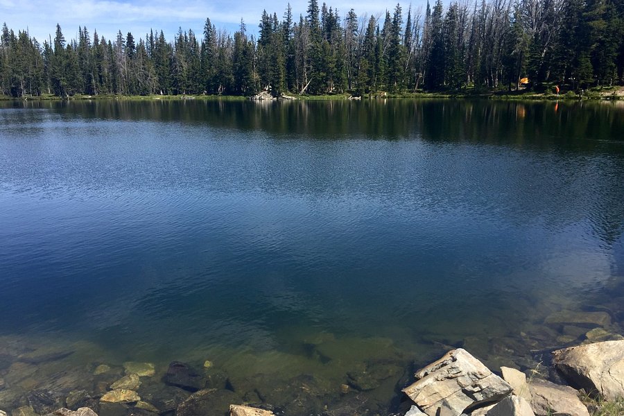 Golden Trout Lakes Trail image