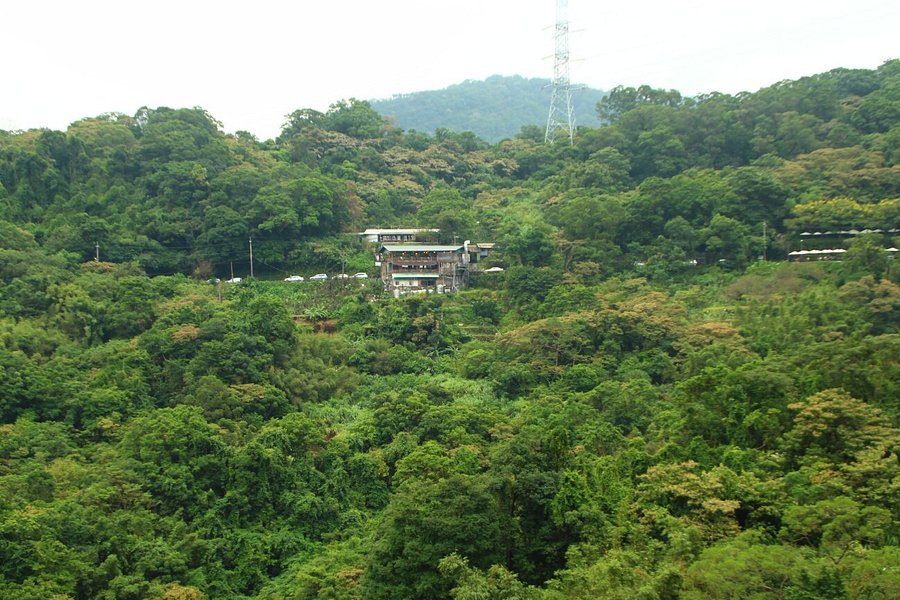 Gondola Maokong Station image
