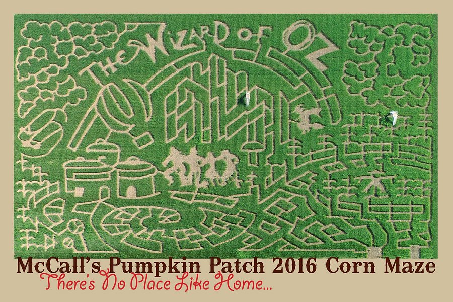 McCall's Pumpkin Patch image