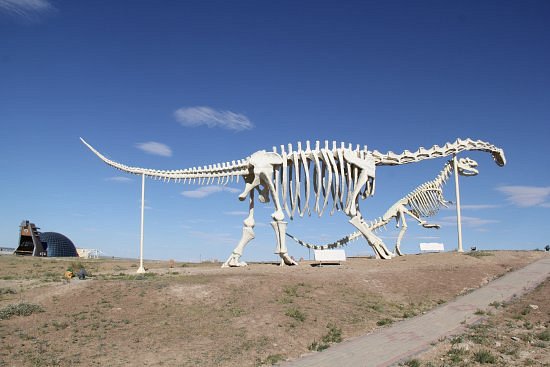 Dinosaur Museum of Erenhot. image