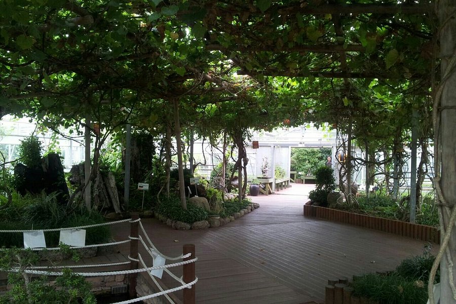 Ansan Botanical Garden image