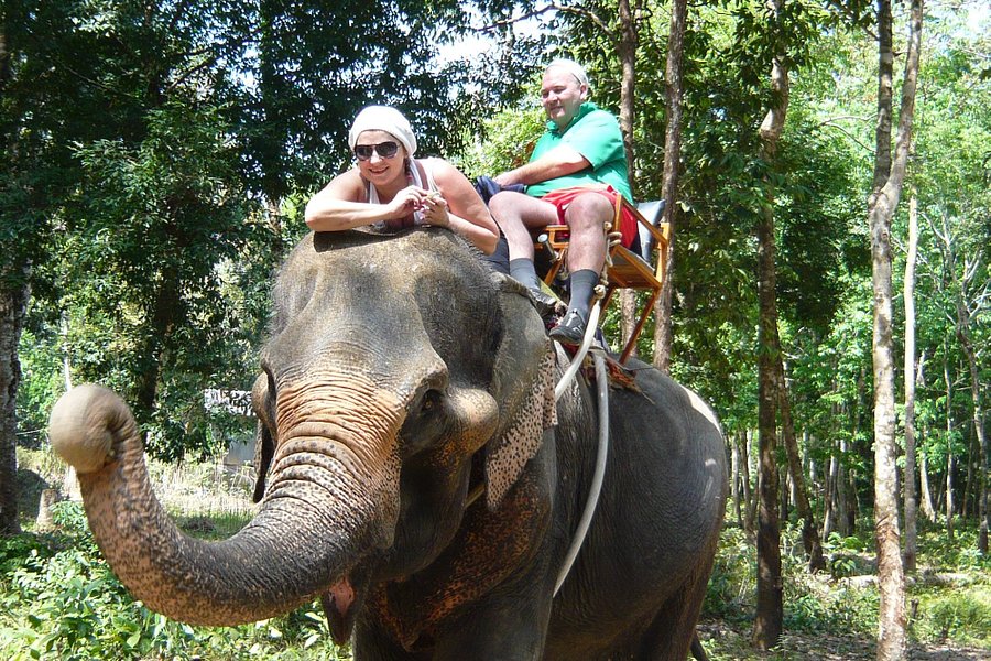 Ban Chang Thai - Elephant Camp image