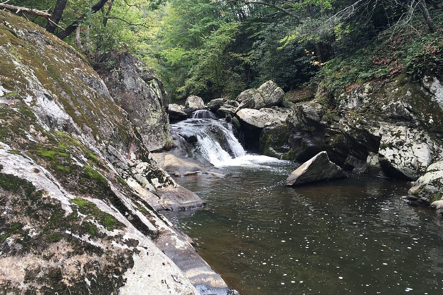 Bottom Creek Gorge image