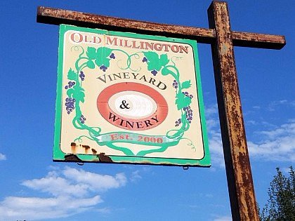 Old Millington Vineyard and Winery image