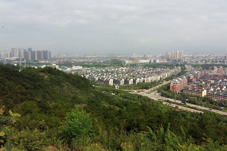Jinhua Diaoyuji Park image