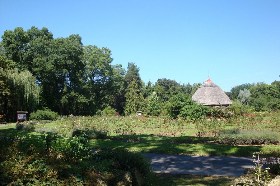 Botanical Garden of the University of Szeged image