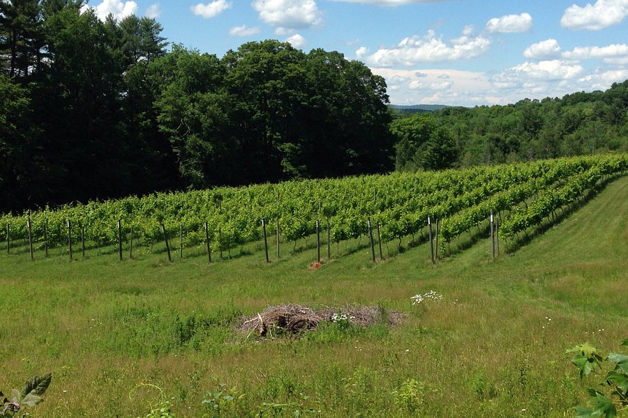 Poocham Hill Winery image