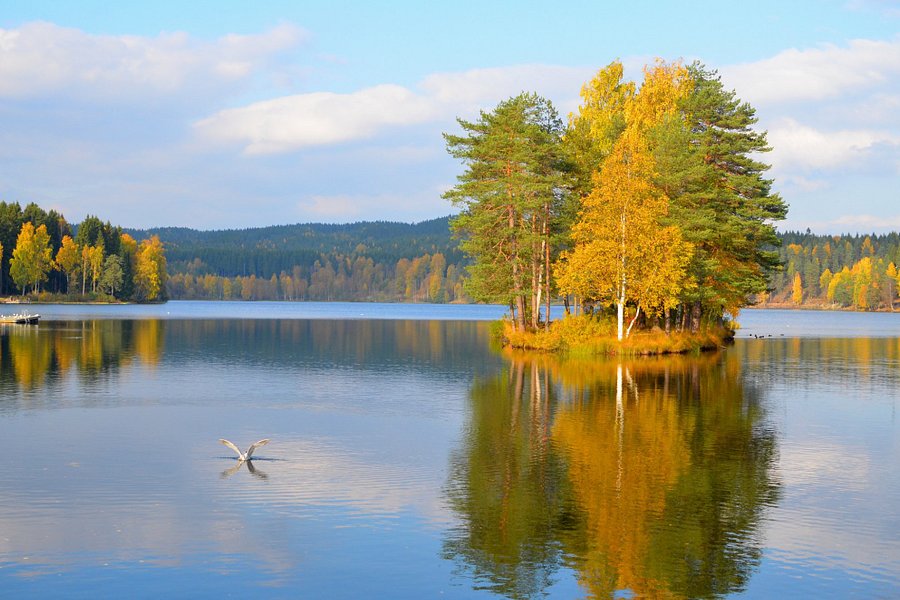 Sognsvann Lake image