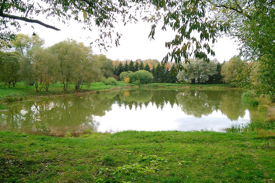 Pereslavskiy Arboretum Named After S.F. Kharitonov image