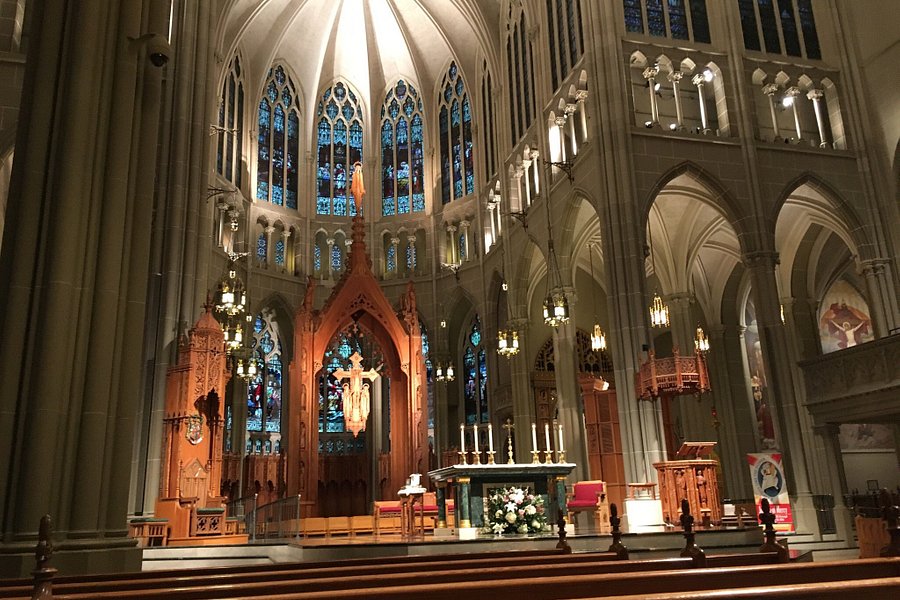 St Mary's Cathedral Basilica of the Assumption image