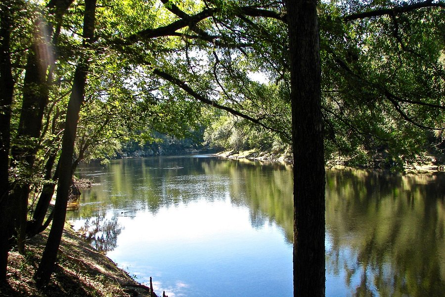 Suwannee River State Park image