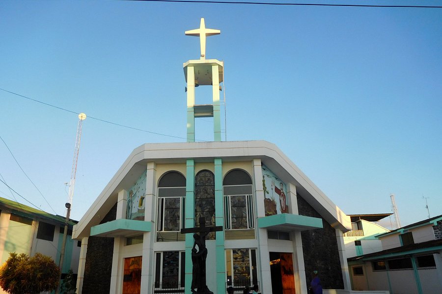 Catedral Inmaculada Concepción image