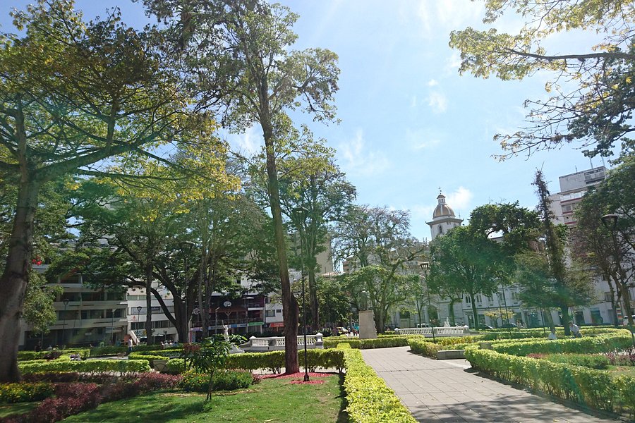 Plaza de Bolivar image
