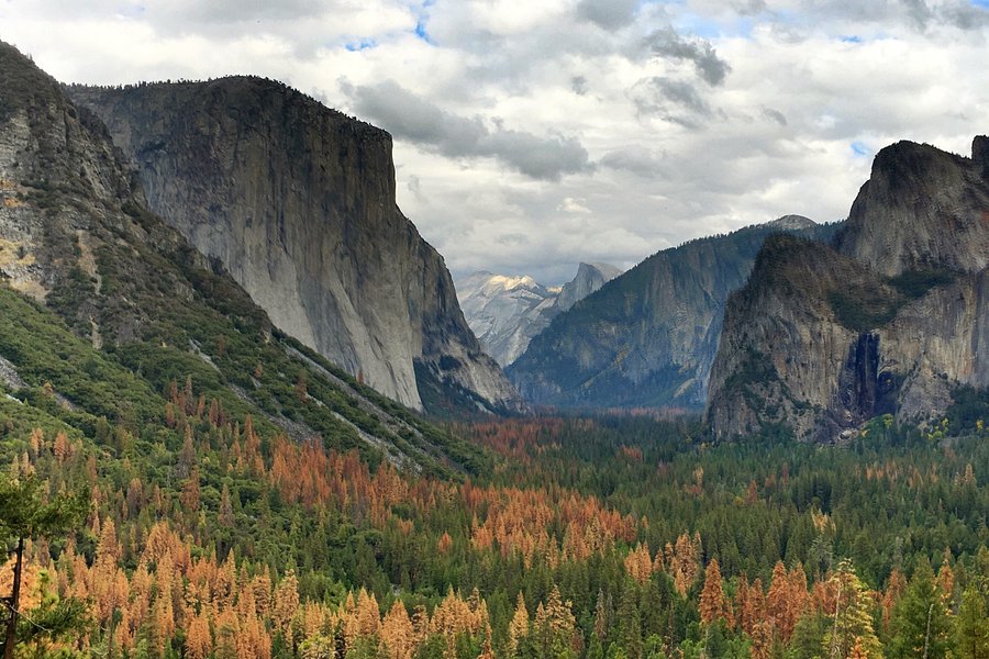 Visit Yosemite Madera County Main Visitors Center image