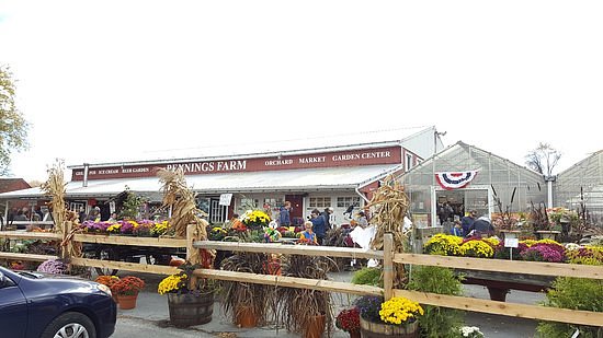 Pennings Farm image