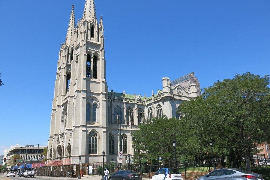 Cathedral of the Immaculate Conception image
