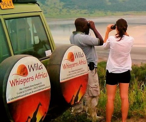 Wild Whispers Africa image