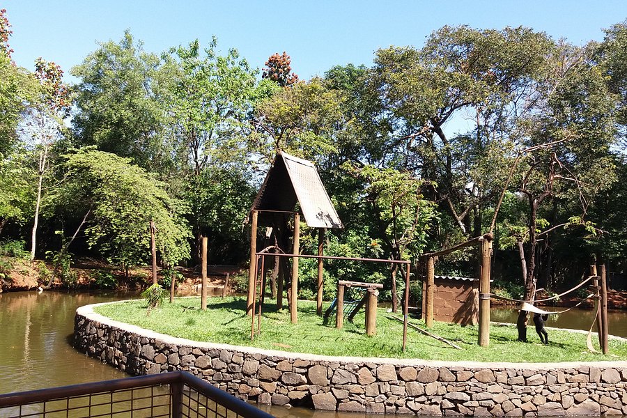 Zoologico Municipal de Piracicaba image
