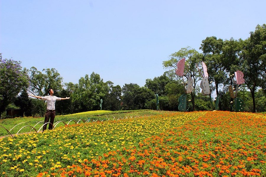 Queshan Park image