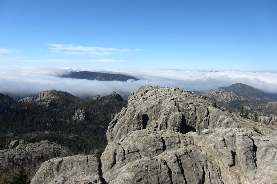 Black Hills National Forest image