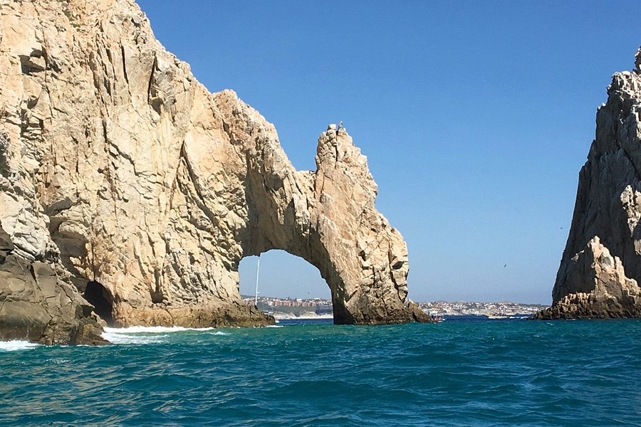 Pelican Rock image