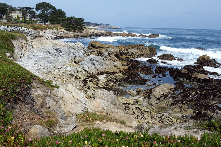 Monterey Peninsula Recreational Trail image