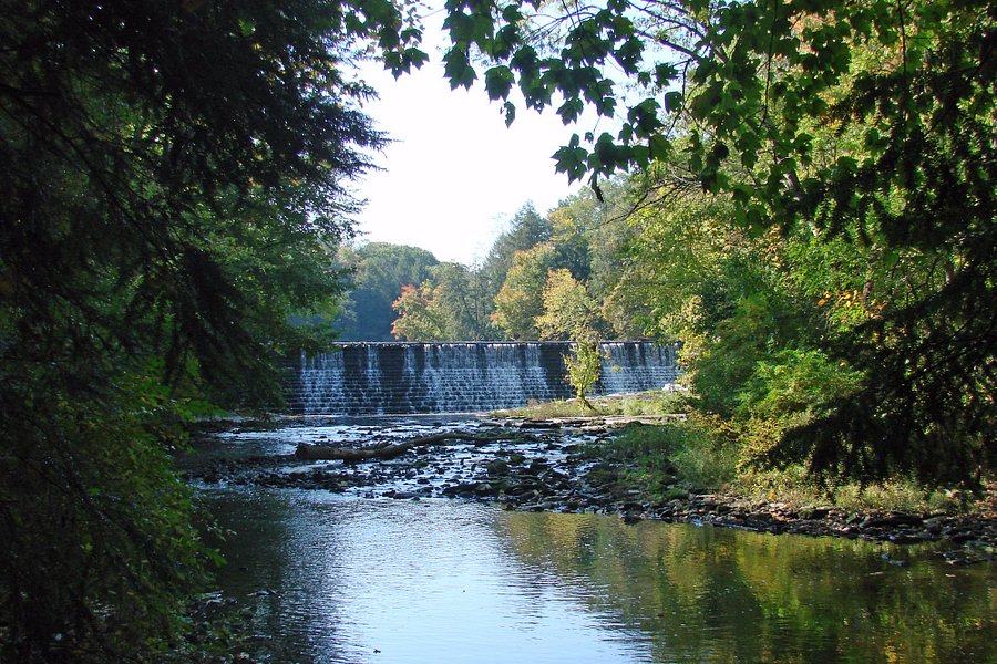 Mill Creek Park image